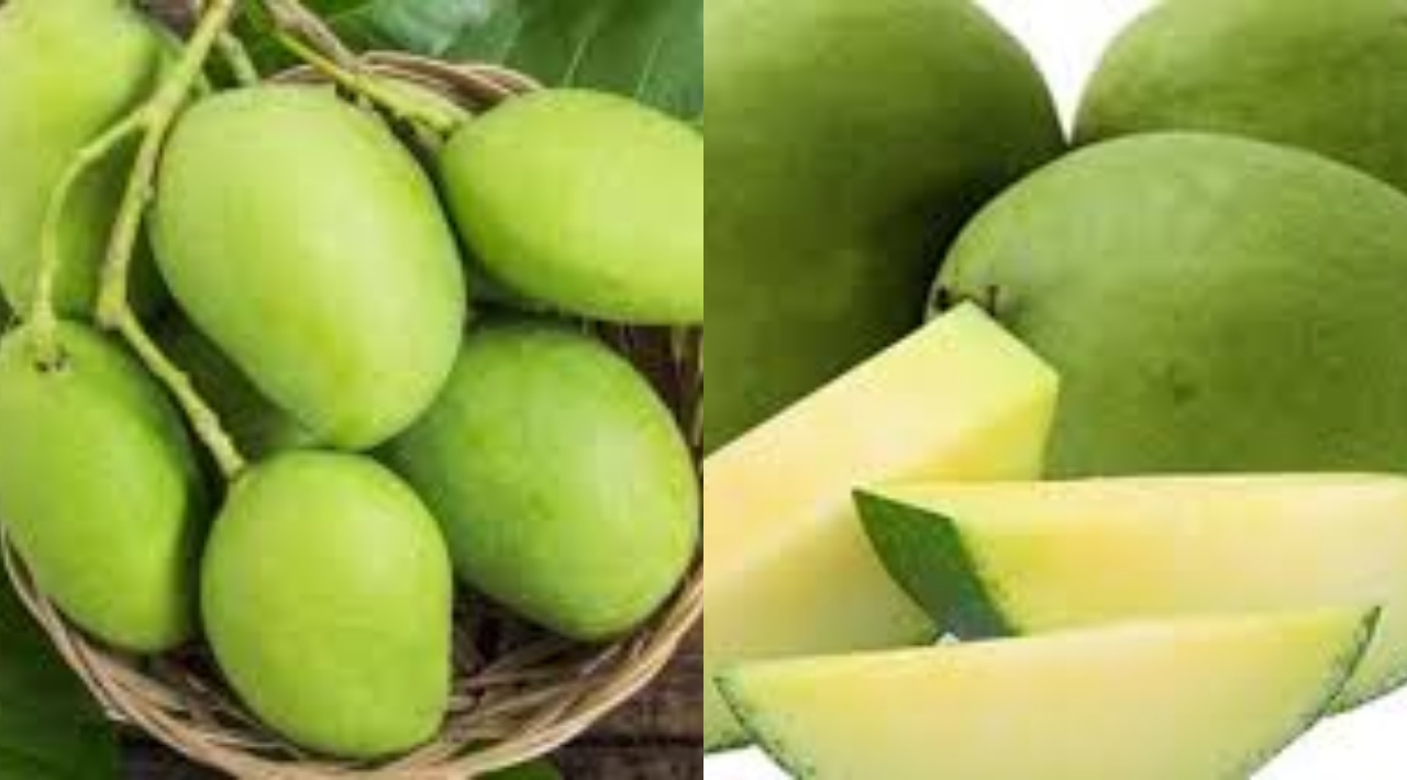 Beragam Kandungan Dan Manfaat Buah Mangga untuk Ibu Hamil Yang Luar Biasa!