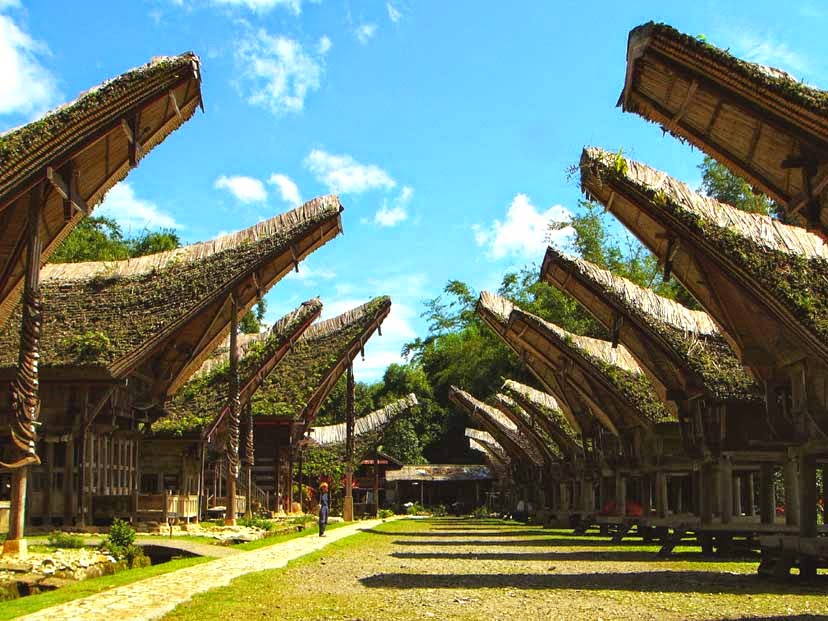 Menarik! Inilah Tempat Wisata yang Wajib Kamu Kunjungi di Tanah Toraja 