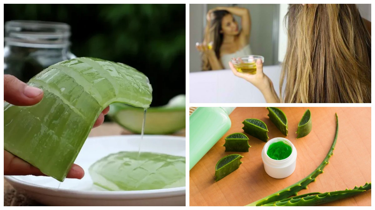 Cara Memakai Lidah Buaya untuk Rambut: Atasi Rontok, Kering, dan Rambut Rusak Secara Alami