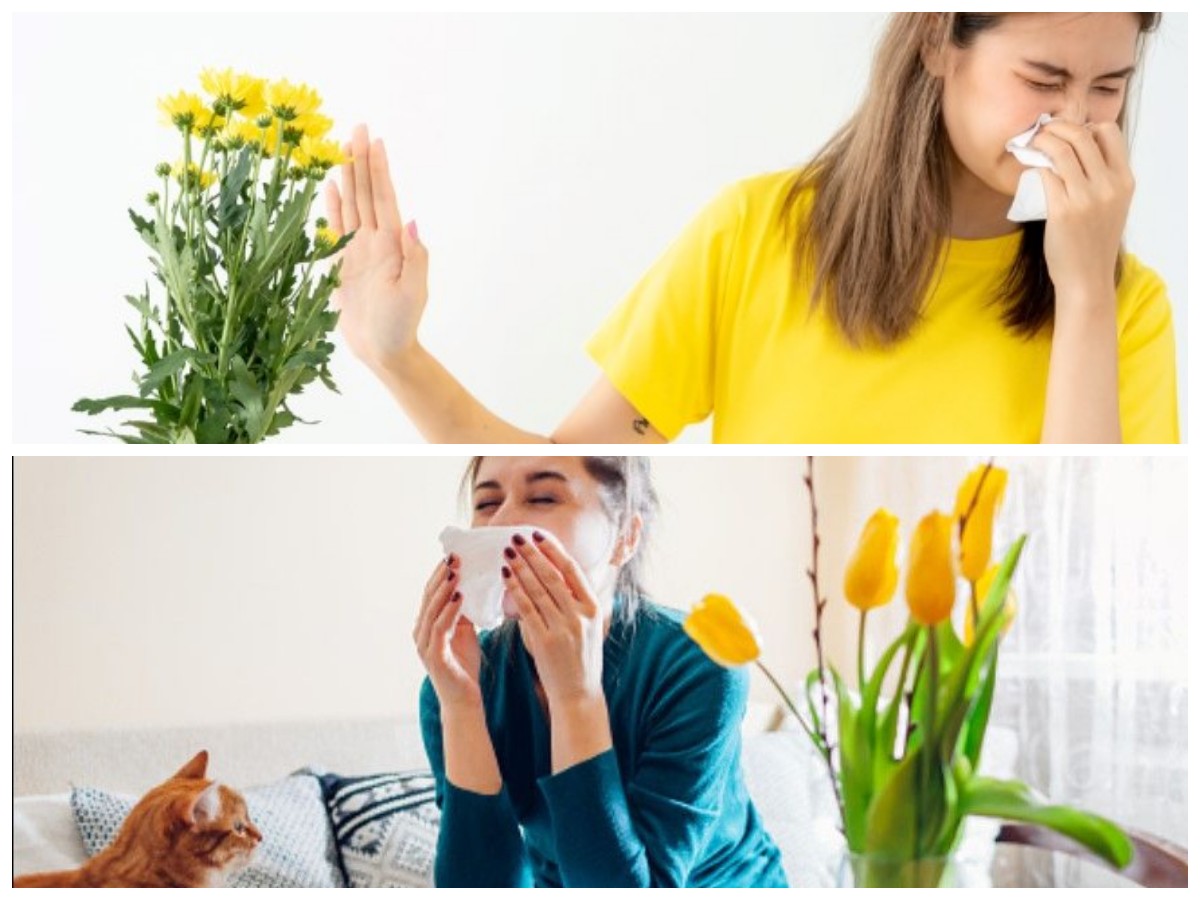  Kenali Penyebab Alergi Serbuk Bunga dan Cara Efektif Mengatasinya