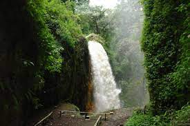 Mistis Bondowoso, Para Penantang Wajib Coba 4 Lokasi Angker Ini Cocok Untuk Uji Nyali!    