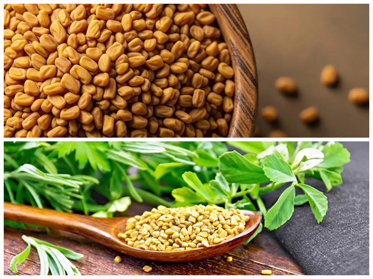 Khasiat Fenugreek yang Jarang Diketahui: Rahasia Alami Menjaga Kesehatan dari Dalam