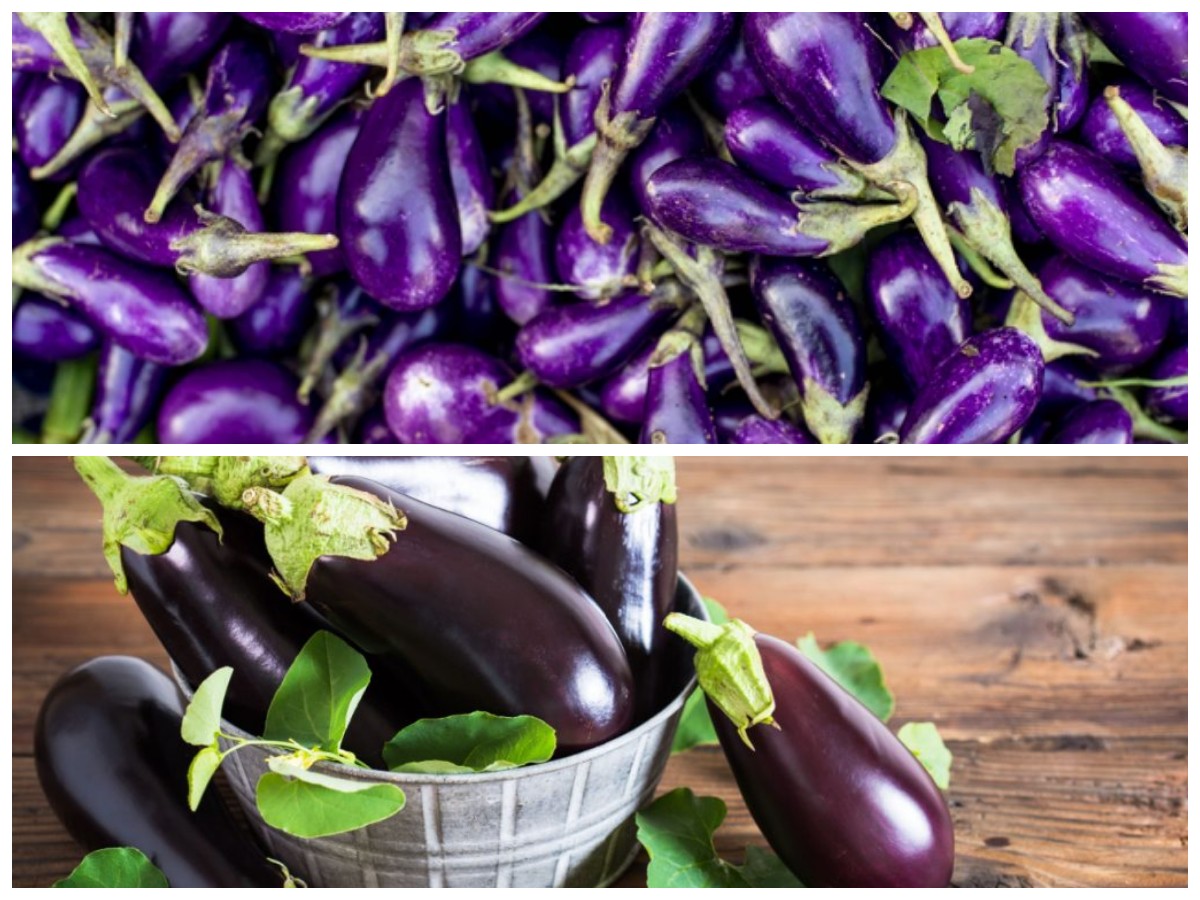 7 Manfaat Terong yang Ampuh untuk Menjaga Kesehatan Jantung