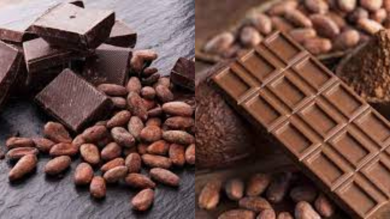 Inilah 10 Manfaat Cokelat dan Tips Aman Mengonsumsinya Harus Kalian Tahu!