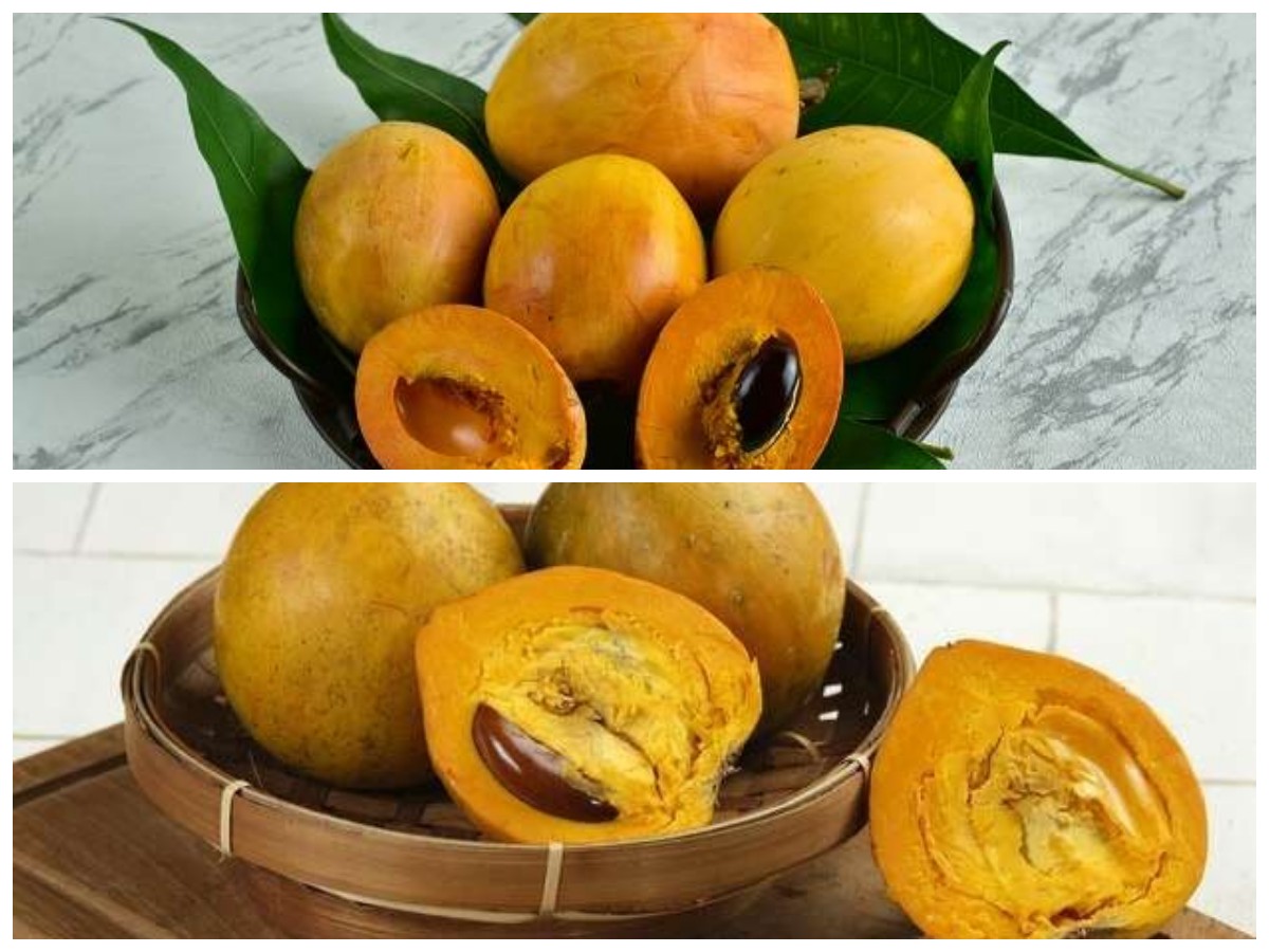 Buah Campolay: Si Kecil Asam yang Penuh Nutrisi dan Manfaat untuk Tubuh