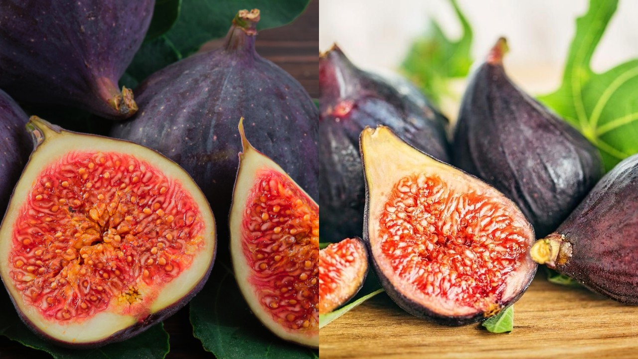 Buah Surga Penunjang Kesuburan: Cara Konsumsi Buah Tin untuk Program Hamil