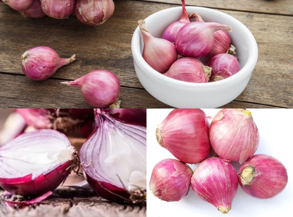 Pengobatan Batuk yang Efektif, Bawang Merah diketahui Bisa Meredakan Gejala Batuk!