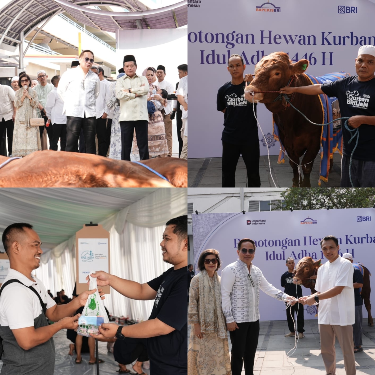 Berbagi di Idul Adha, Bapekis & Karyawan BRI Salurkan 961 Hewan Kurban