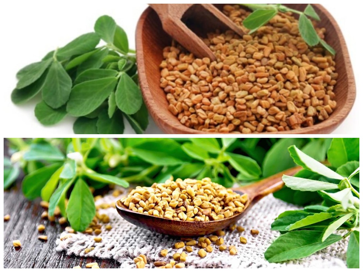 Kenali Fenugreek, Rempah Herbal Kaya Manfaat yang Baik untuk Kesehatan!