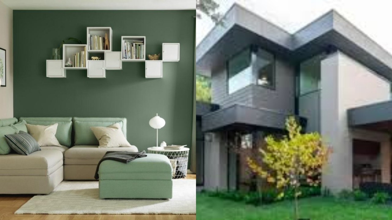 Rekomendasi Warna Cat Rumah yang Tidak Menyerap Panas dan Nyaman Ditinggali!