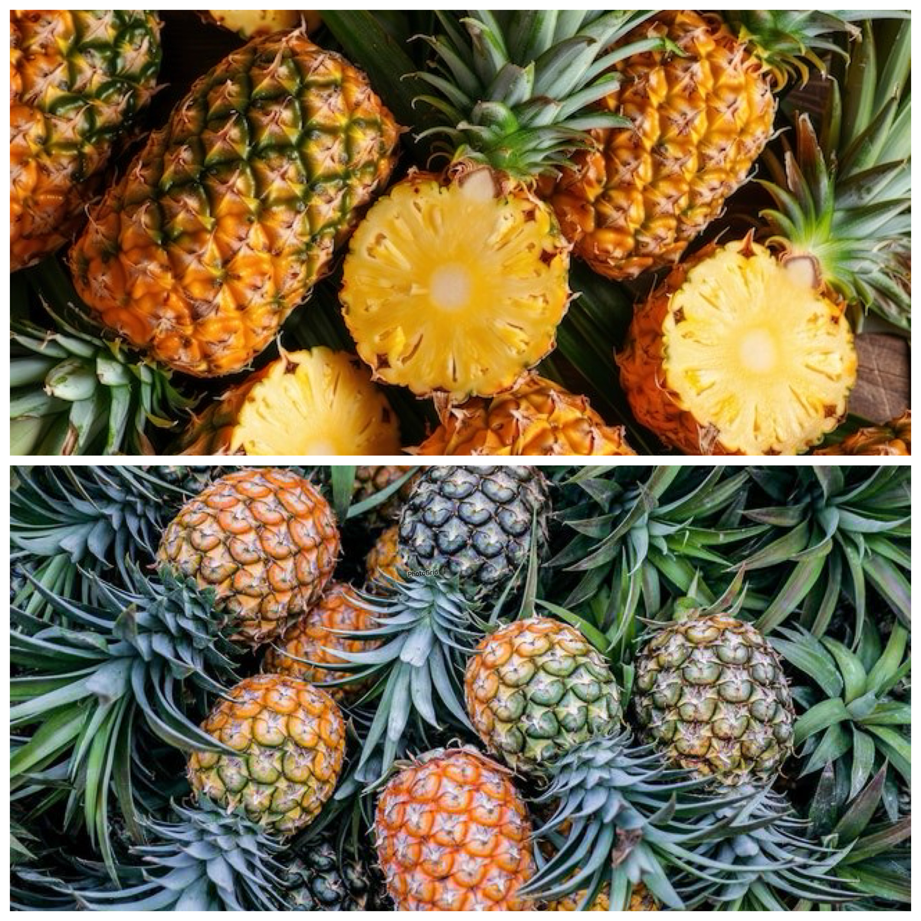 Manfaat Buah Nanas untuk Kesehatan, Ampuh Dukung Program Diet dan Tingkatkan Imunitas
