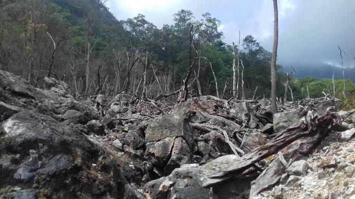 6 Kisah Mistis Serta Misteri Di Gunung Salak Jawa Barat, Simak Hal Selengkapnya Disini! 