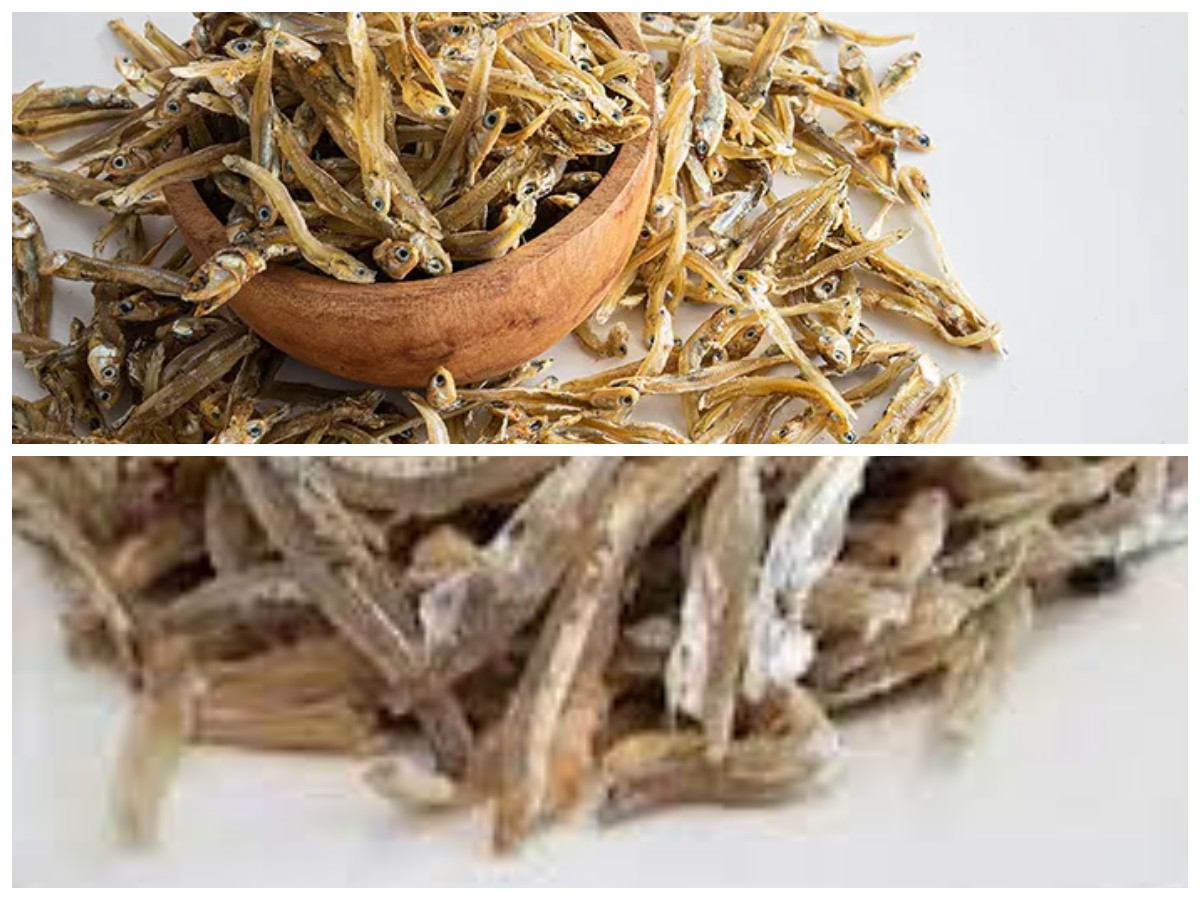 Manfaat Hebat Ikan Teri untuk Tubuh, Cocok Dijadikan Menu Sehari-hari