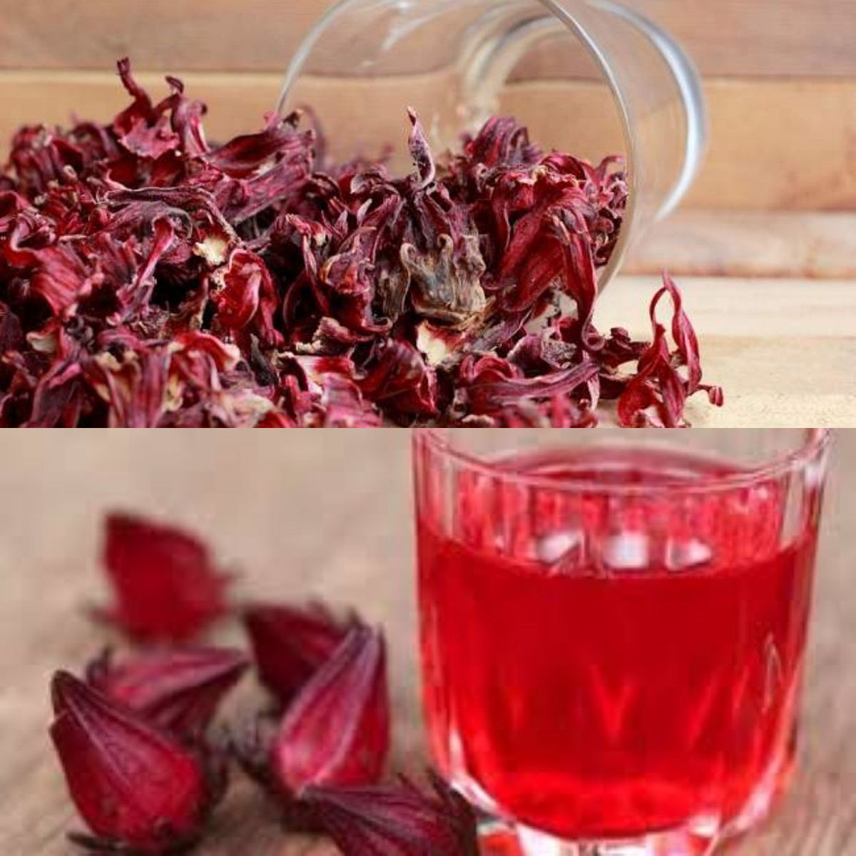  Jangan Lewatkan Manfaat Bunga Rosella untuk Kesehatan yang Jarang Diketahui!  