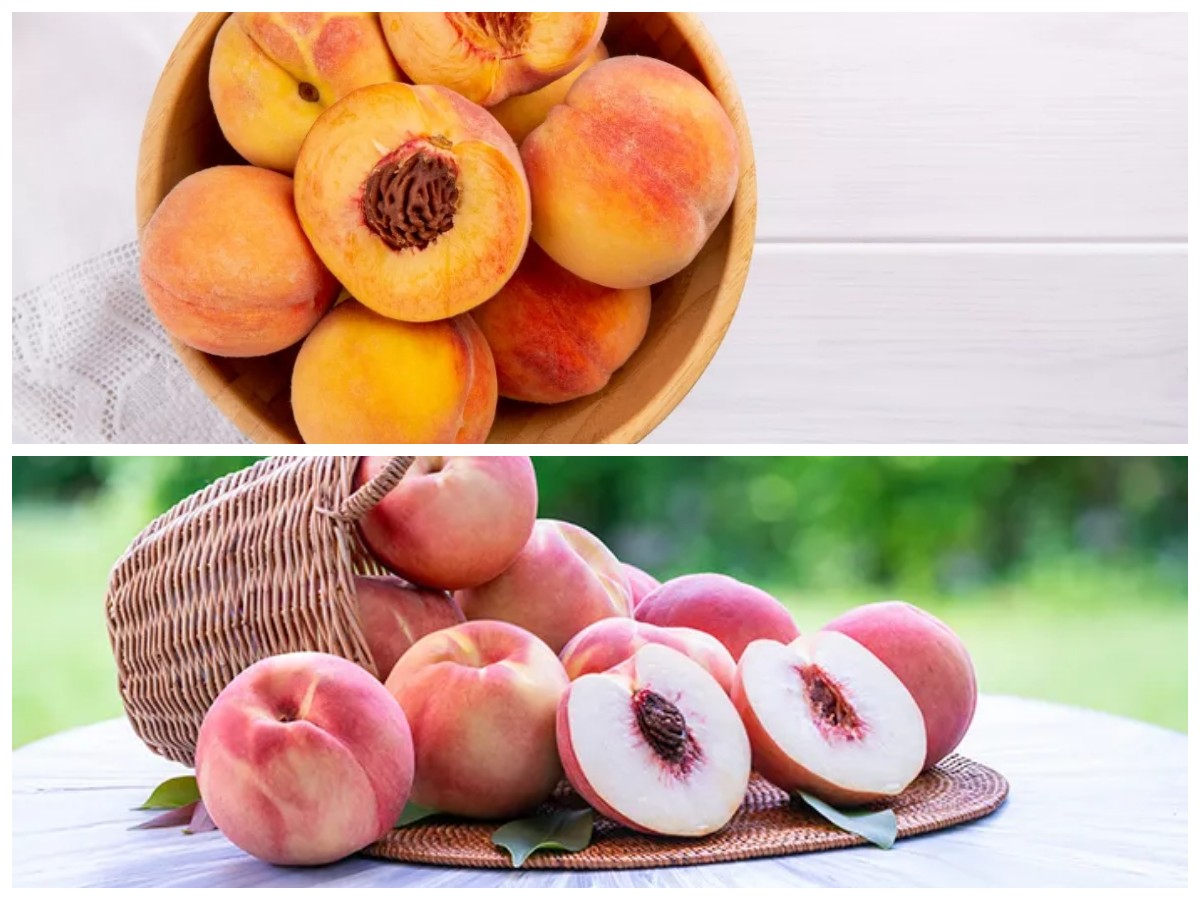 Kenali Buah Persik Lebih Dekat: 7 Khasiatnya yang Luar Biasa untuk Kesehatan Tubuh