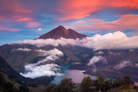 Keren, Ini 4 Hewan Langka Di Gunung Rinjani! Nomor 5 Kok Ngga Ada?