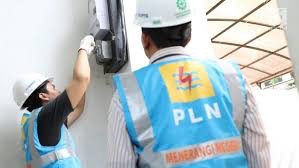 Tingkatan Keandalan Listrik di Pagaralam, PLN Laksanakan Pekerjaan Pemasangan CLD dan Pemangkasan Tanam Tumbuh