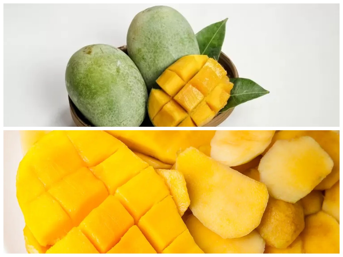 Tak Hanya Nikmat, Mangga Gedong Juga Kaya Khasiat yang Jarang Diketahui!