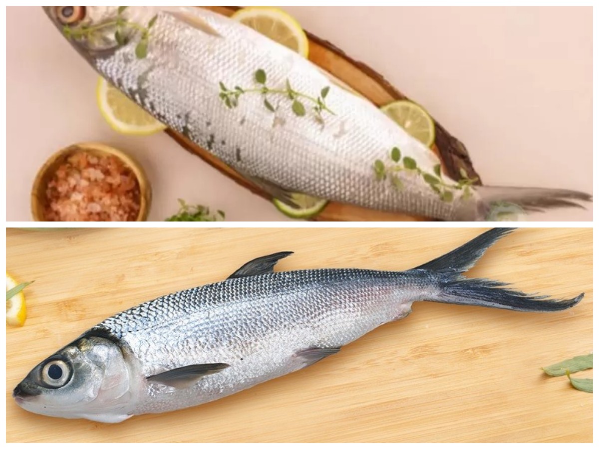 Manfaat Tersembunyi Ikan Bandeng untuk Kesehatan Tubuh, Wajib Dicoba!