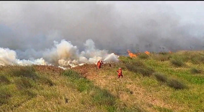 400 Hektar Lahan di Ogan Ilir Sudah Terbakar