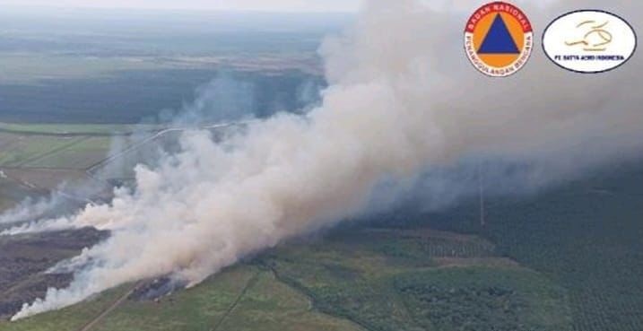 220 Kasus Karhutla Melanda Sumsel Sepanjang 2025