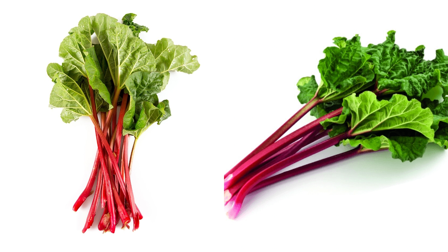 Meningkatkan Kesehatan Hati Inilah Manfaat Dari Rhubarb Yang Luar Biasa! 