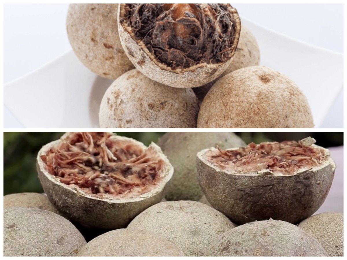 Jarang Diketahui, Ini 8 Khasiat Buah Kawista yang Baik untuk Kesehatan Tubuh