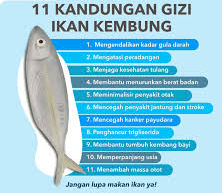 Lebih Sehat dari Salmon! Ini Rahasia Ikan Murah yang Kaya Nutrisi dan Manfaatnya!