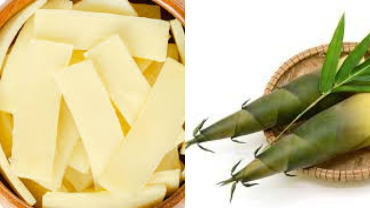 Rebung, Bahan Alami dengan Banyak Manfaat untuk Kesehatan!