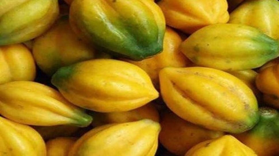 Buah Khas Wonosobo! Inilah Khasiat Buah Carica yang Hanya Ada di Dataran Tinggi Dieng 