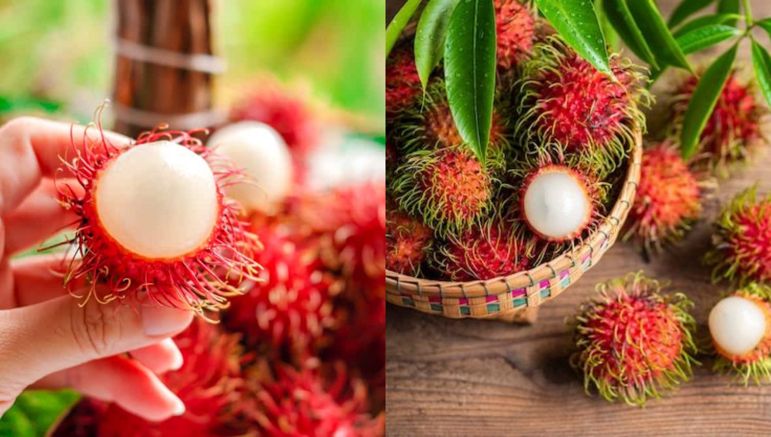 Siapa Saja yang Tidak Boleh Makan Rambutan? Waspadai Efeknya bagi Kesehatan