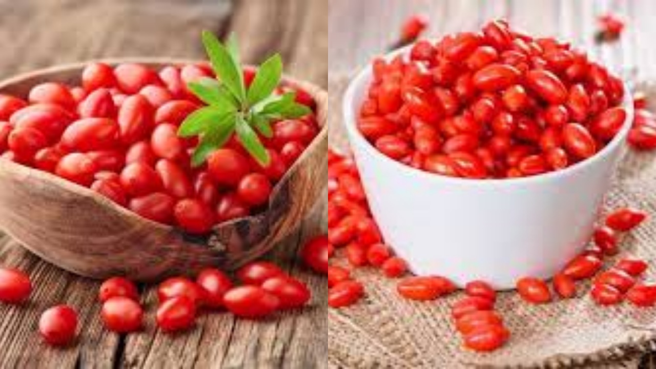 Tidak Banyak Diketahui Teryata Ini Manfaat Goji Berry Untuk Kesehatan Tubuh!