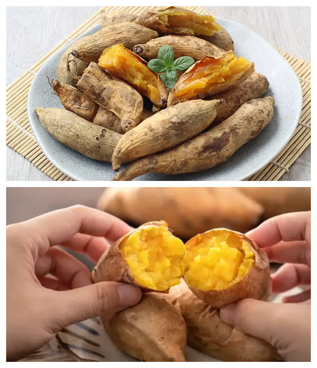 6 Manfaat Ubi Cilembu untuk Kesehatan, dari Melancarkan Pencernaan hingga Menangkal Risiko Kanker