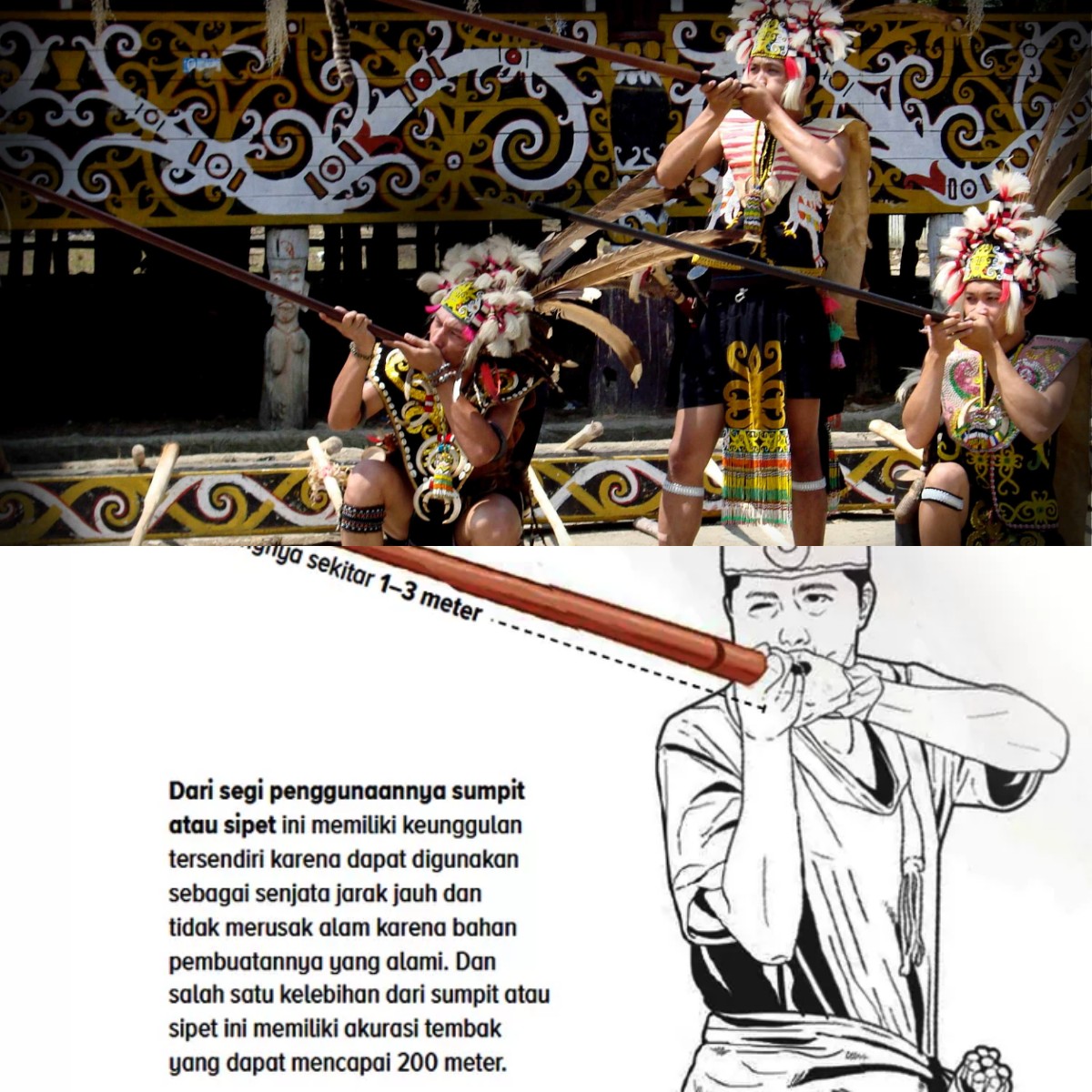 Senjata Canggih Belanda dan Jepang Kalah! Apa yang Membuat Sumpit Suku Dayak Begitu Mematikan?