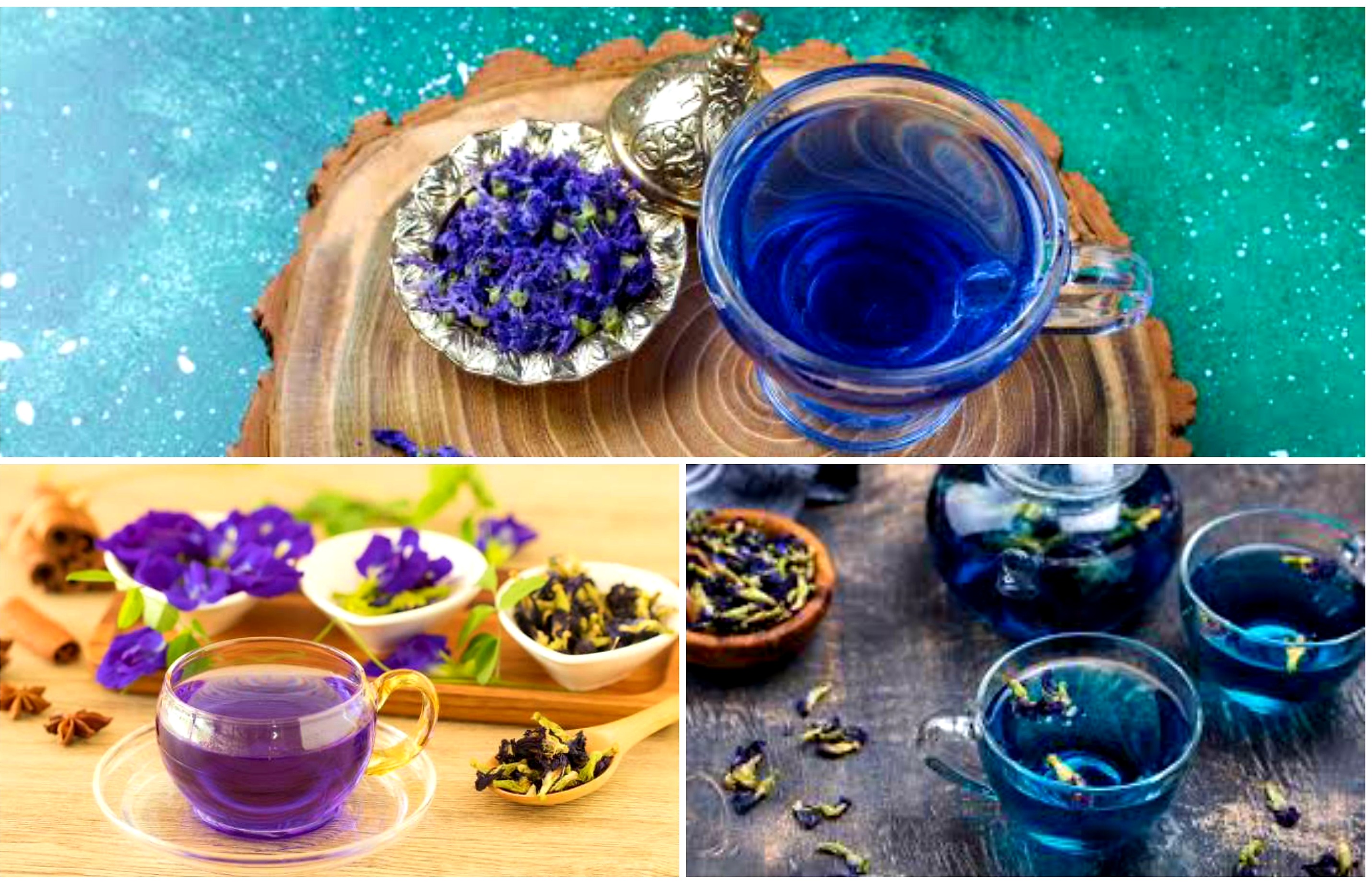 Catat! Kelompok Ini Tidak Dianjurkan Meminum Teh Bunga Telang