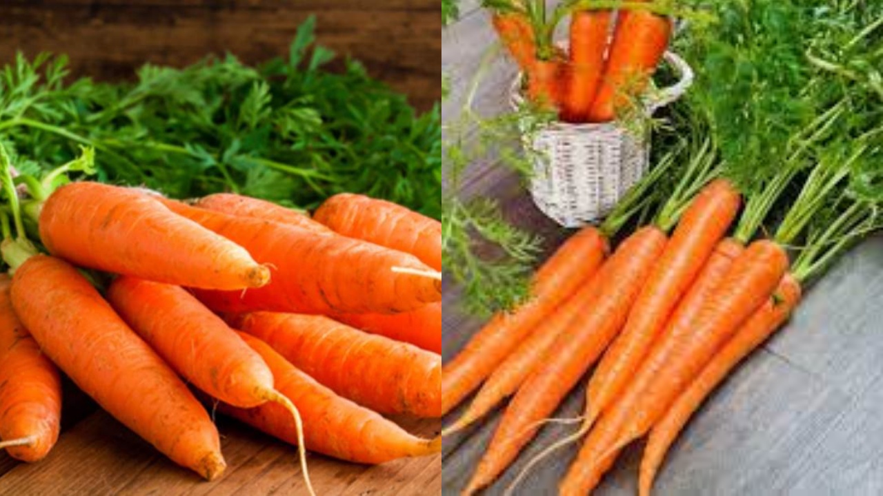 Inilah 8 Manfaat Wortel Untuk Kesehatan Yang Jarang Diketahui