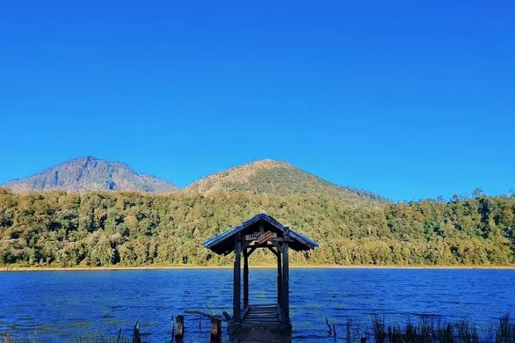 Melihat Lebih Dekat Keindahan dan Misteri Danau Taman Hidup di Kaki Gunung Argopuro Jawa Timur