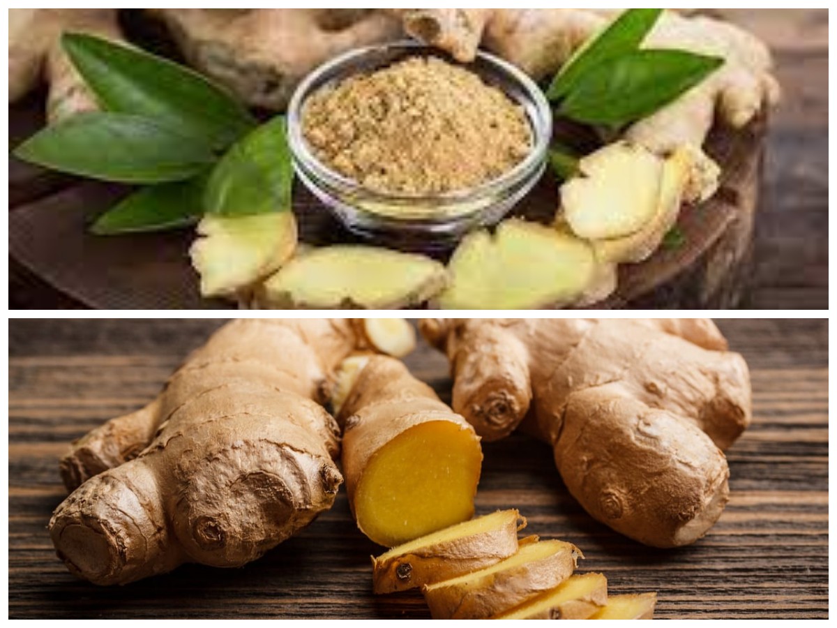 Khasiat Temulawak untuk Kesehatan: Herbal Tradisional Asli Indonesia yang Kaya Manfaat