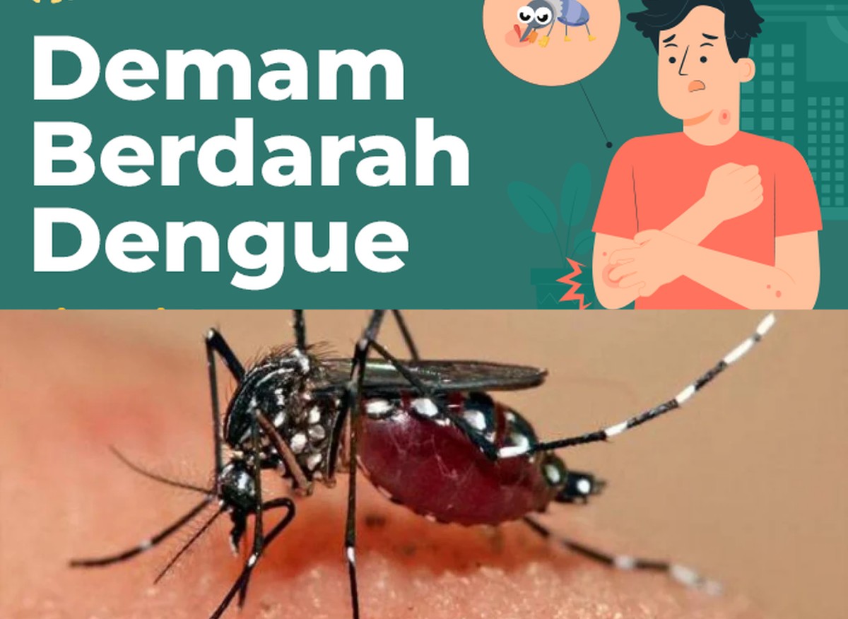 Mewaspadai Wabah DBD: Gejala, Pencegahan, dan Cara Menanggulangi Demam Berdarah
