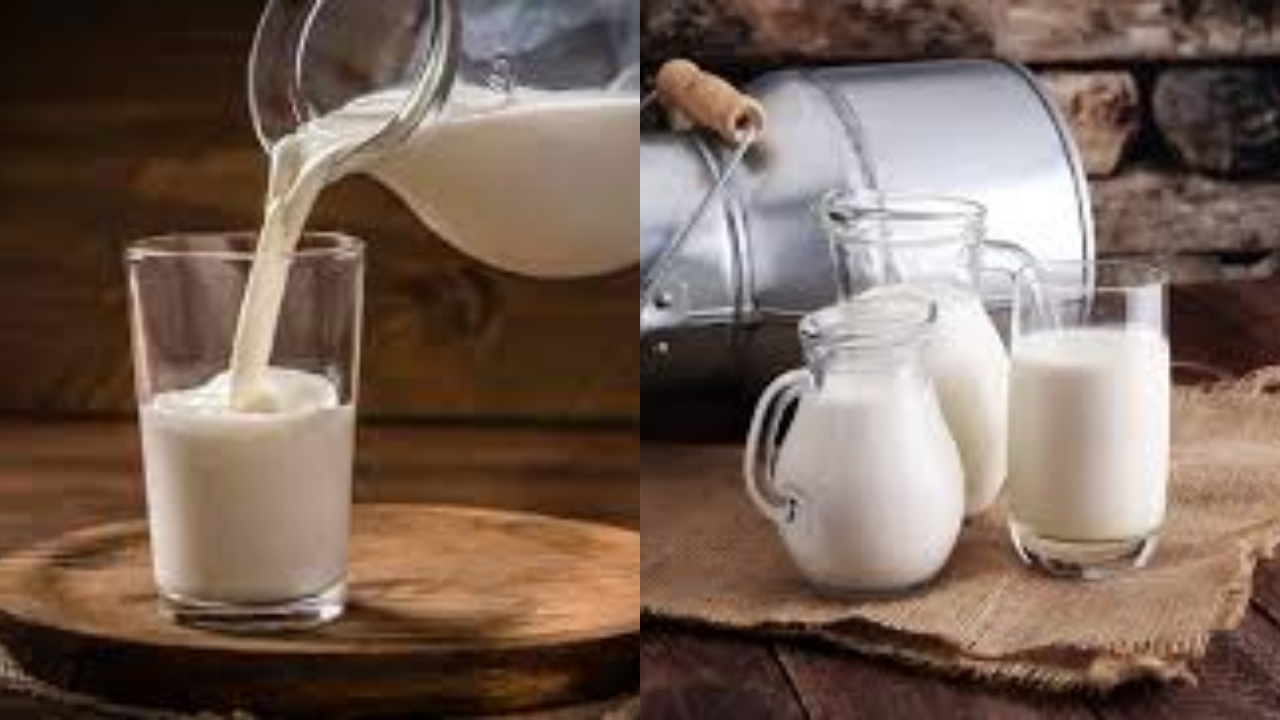  Kamu Harus Tahu! Inilah Manfaat Susu Unta Untuk Kesehatan Tubuh Yang Luar Biasa