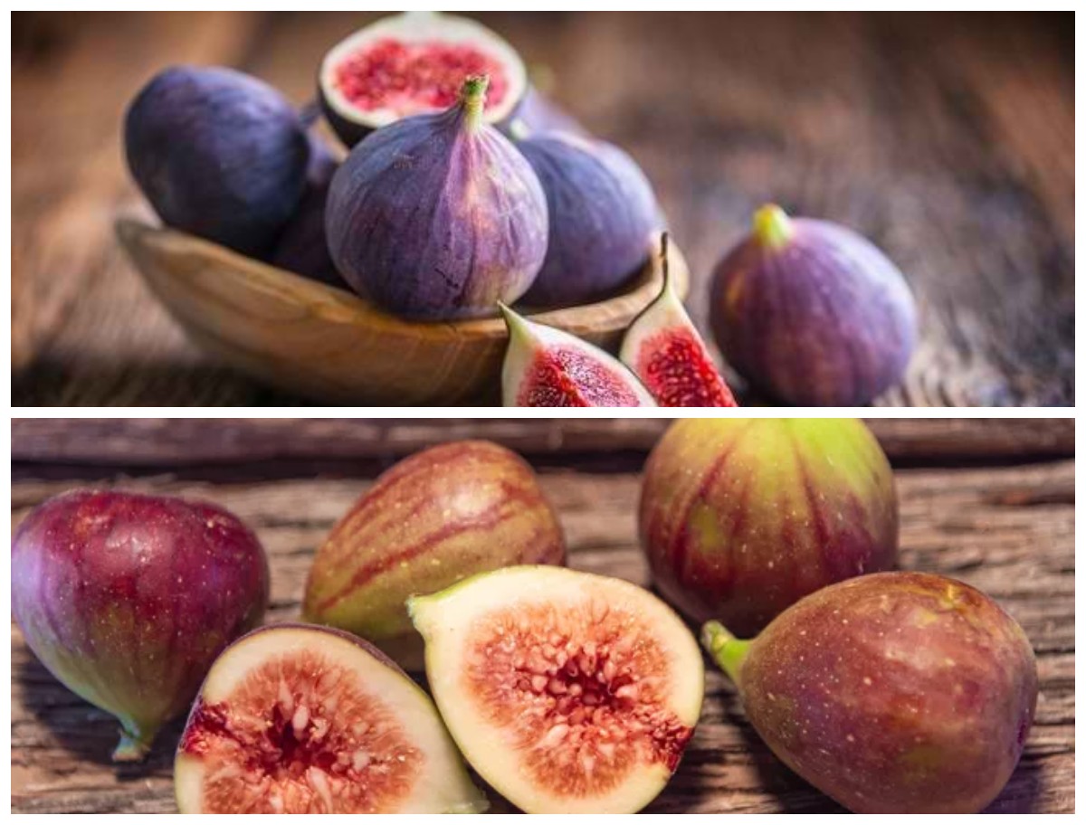 Mengenal Berbagai Manfaat Buah Ara untuk Kesehatan: Si Manis Kaya Nutrisi yang Baik untuk Pencernaan, Jantung!