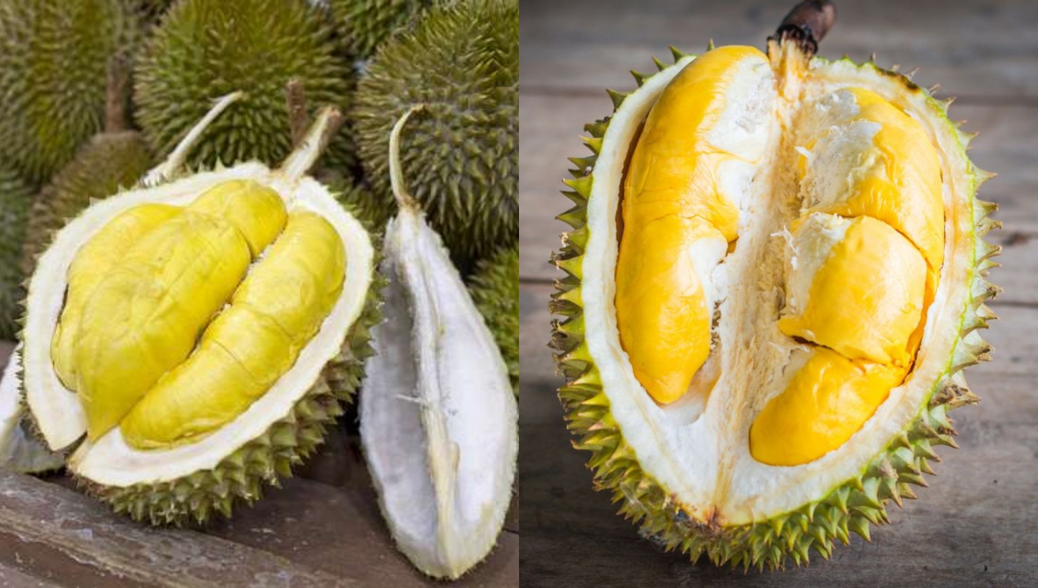 Kolesterol Tinggi karena Durian? Ini Penjelasan Ilmiah yang Perlu Kamu Pahami