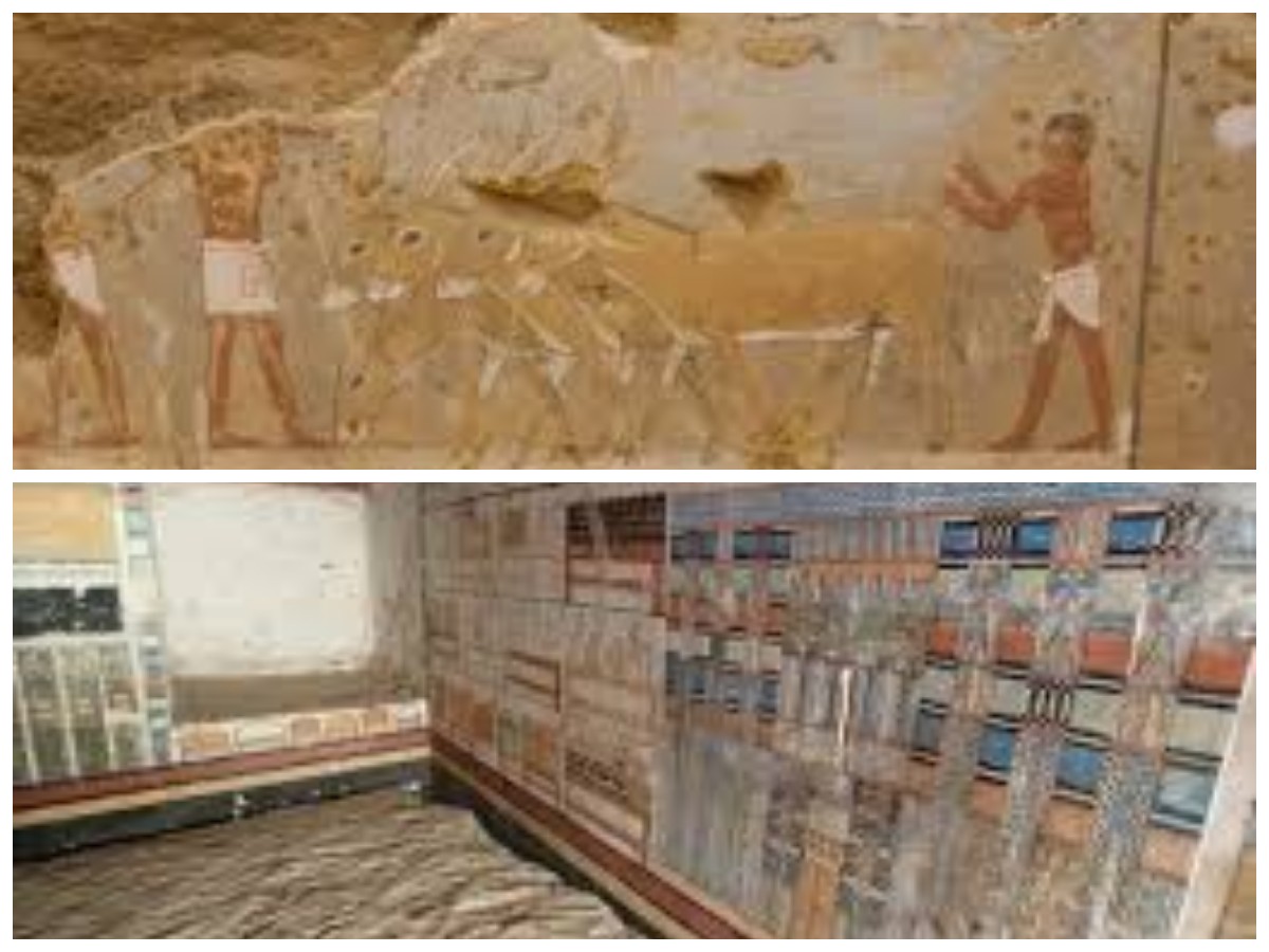 Terungkap! Makam Dokter Kerajaan Mesir Kuno Berusia 4.300 Tahun dan Isinya yang Mengejutkan