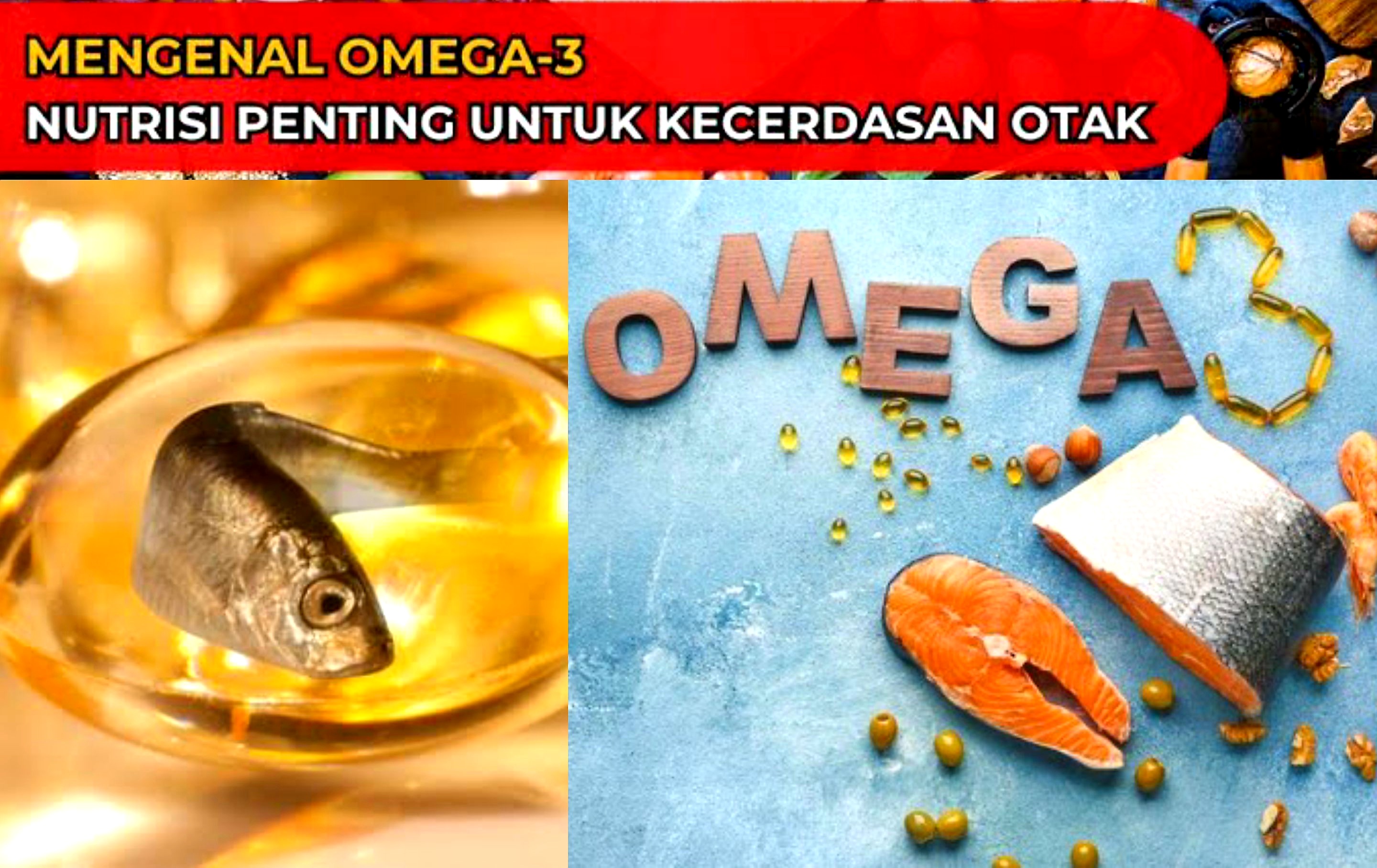 Bukan Sembarang Lemak. Seberapa Penting Omega-3 Bagi Tubuh dan Otak? Ini Penjelasannya