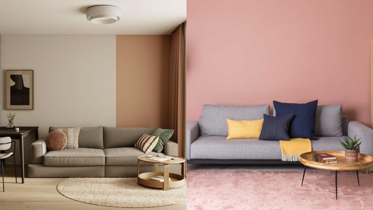 10 Warna Cat Ruang Tamu yang Bikin Ruangan Terasa Lebih Luas dan Berkelas!