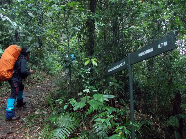 Mengulik Cerita Mistis yang Menyeramkan Pernah Dirasakan Para Pendaki Gunung Pangrango