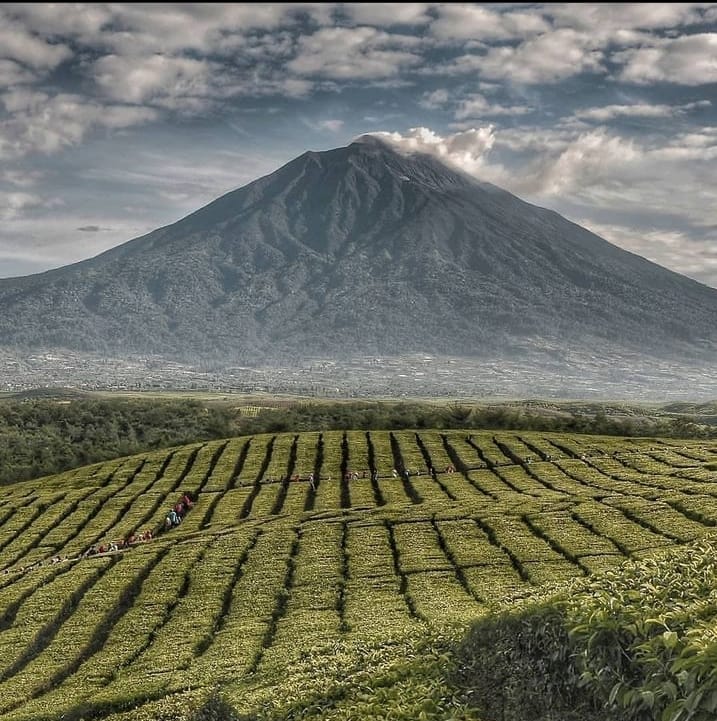  Keajaiban Gunung Kerinci Yang Bikin Merinding! Mengulik Fakta Penghuni Gaib Yang Diyakini Masyarakat Sekitar