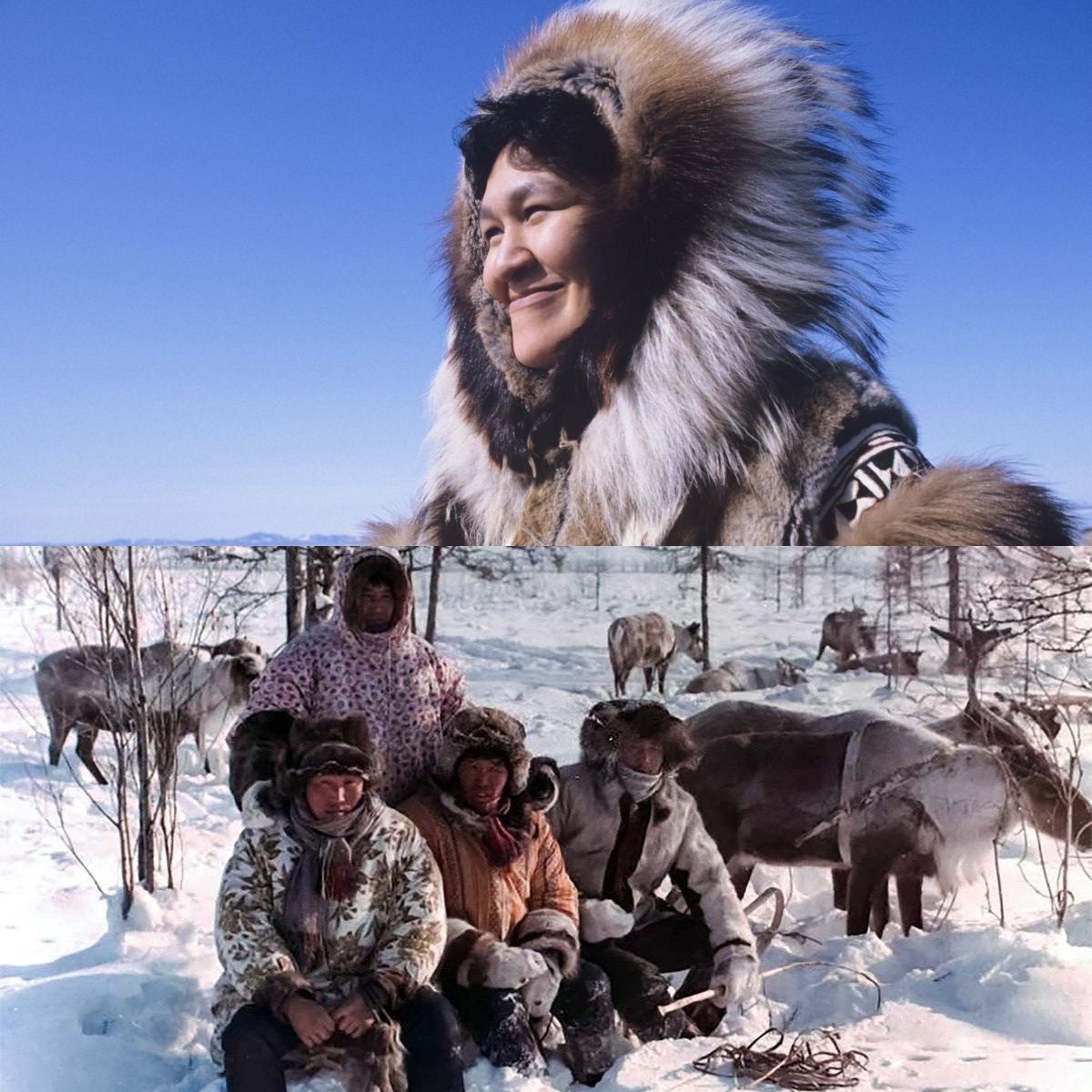 Mengapa Suku Inuit Enggan Disebut Eskimo? Inilah Alasan Mengejutkannya!