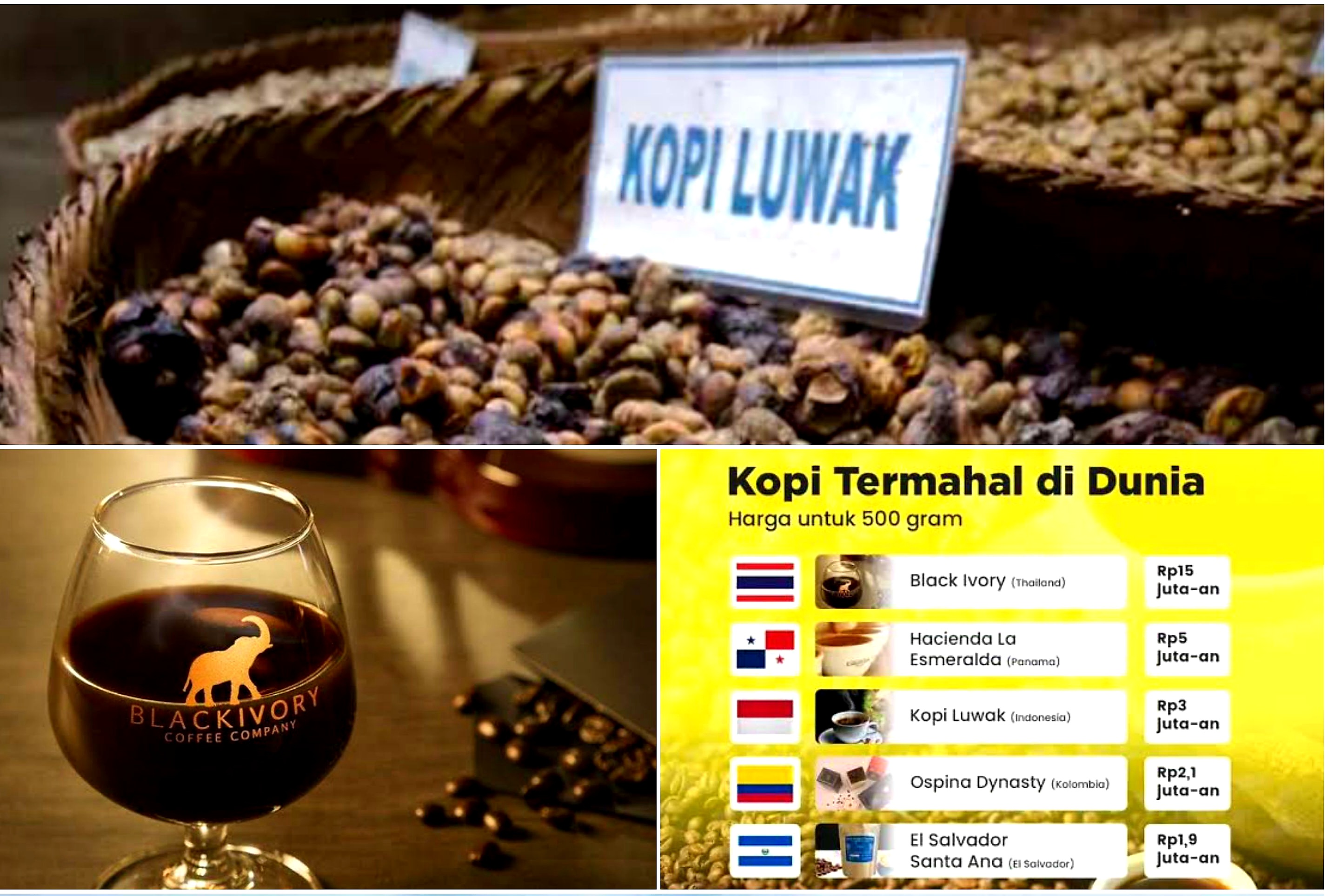 5 Top Kopi dengan Harga Paling Mahal di Dunia. Salahsatunya dari Indonesia!