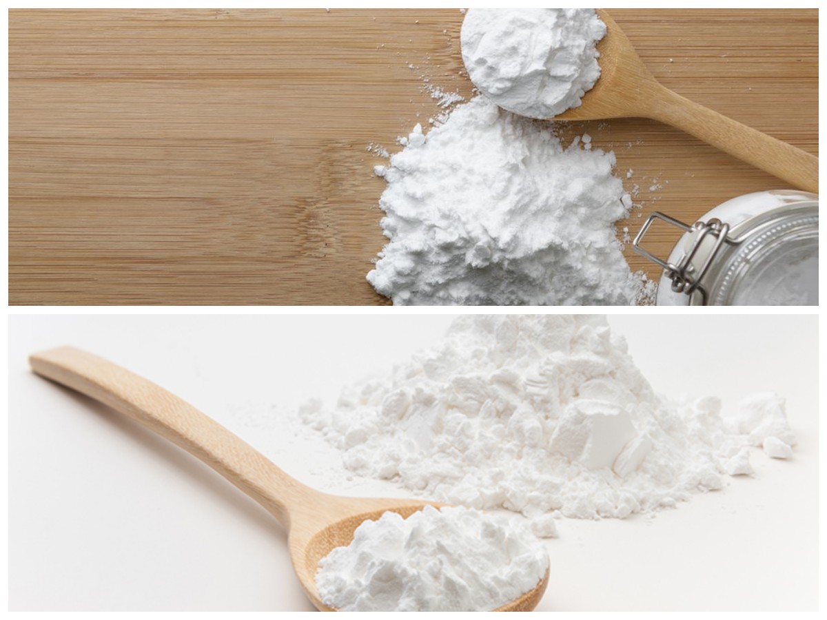 Manfaat Sagu untuk Tubuh: 7 Alasan Mengapa Kamu Harus Mengonsumsinya